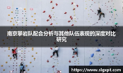 南京攀岩队配合分析与其他队伍表现的深度对比研究